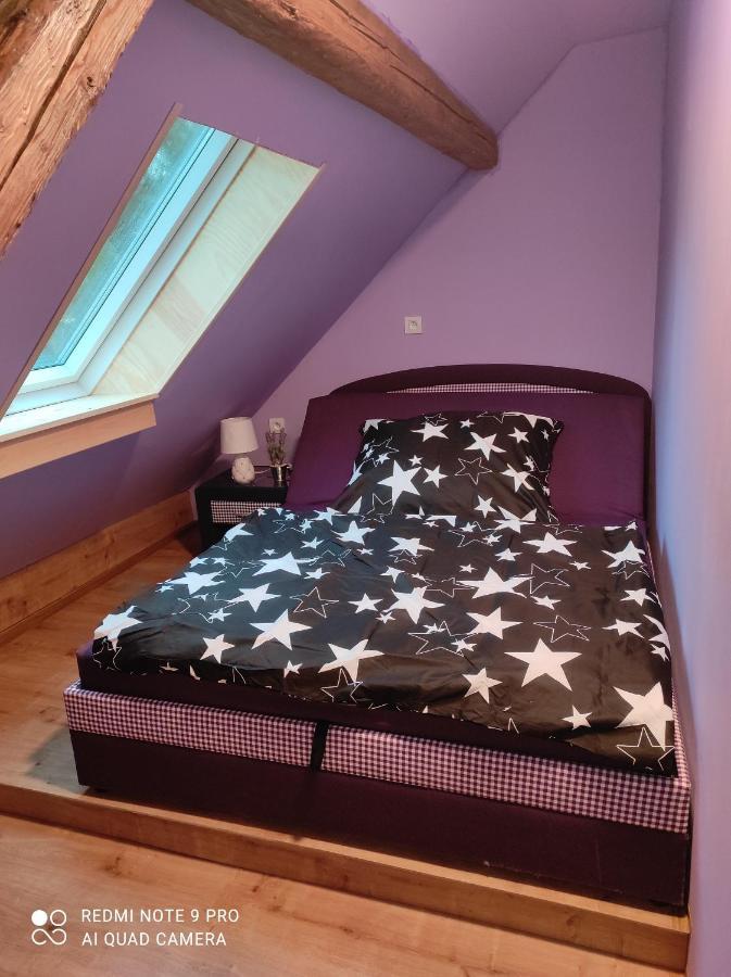Apartman Sumava U Rybaku Volenice  Extérieur photo